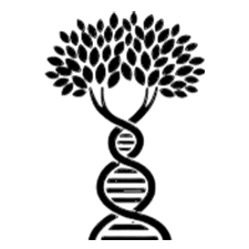 genetics_developmentcolor